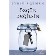Özgür Değilsin - Evrim Egemen