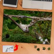 P006 Ağaçlar Arasındaki Kuş 240 Parça Puzzle Yapboz Tablo