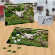 P006 Dalda Ters Dönen Kuş 99 Parça Puzzle Yapboz