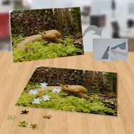 P010 Yeşillikteki Salyangoz 99 Parça Puzzle Yapboz