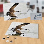 P040 Göl Üstünde Uçan Kuş 99 Parça Puzzle Yapboz