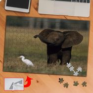 P095 Minik Yavru Fil Ve Martı 240 Parça Puzzle Yapboz Tablo