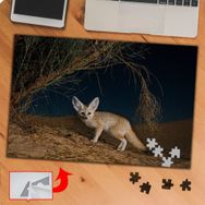 P096 Kurak Topraklarda Yabani Tilki 240 Parça Puzzle Yapboz Tablo