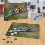 P098 Dalda Renkli İki Kuş 99 Parça Puzzle Yapboz