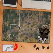 P111 Doğa Ağaçtaki Yabani Ayı 240 Parça Puzzle Yapboz Tablo