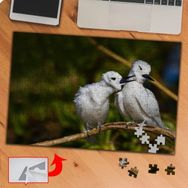 P112 Daldaki İki Sevimli Kuş 240 Parça Puzzle Yapboz Tablo