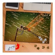 P117 Renkli Kanatlı Uçan Sinek 240 Parça Puzzle Yapboz Tablo