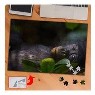 P118 Masum Sevimli Maymun 240 Parça Puzzle Yapboz Tablo