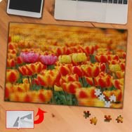 P121 Rengarenk Lale Bahçesi 240 Parça Puzzle Yapboz Tablo