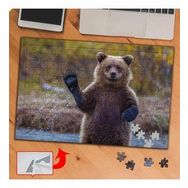 P132 Yırtıcı Vahşi Hayvan Ayı 240 Parça Puzzle Yapboz Tablo