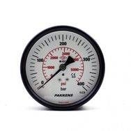 Pakkens Kuru G 1/4 inç 0-400 Bar 100 mm Arkadan Bağlantılı Manometre