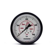 Pakkens Kuru G 1/4 inç 0-400 Bar 63 mm Arkadan Bağlantılı Panotipi Manometre