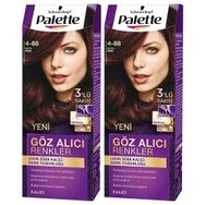 Palette 4.88 Koyu Kızıl Göz Alıcı Renkler 2li Saç Boyası