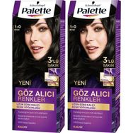 Palette Deluxe 1.0 2 Adet Siyah Saç Boyası