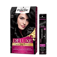 Palette Deluxe 1-0 Siyah Saç Boyası + Schwarzkopf Siyah Saç Maskarası