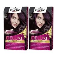 Palette Deluxe 4-99 Ametist Moru x2 Saç Boyası