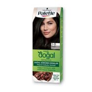 Palette Doğal Renkler 1 0 Siyah Saç Boyası