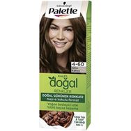 Palette Kalıcı Doğal Renkler 4-60 Altın Kahve Saç Boyası