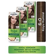 Palette Kalıcı Doğal Renkler 6.0 Koyu Kumral x3 Saç Boyası