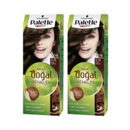Palette Natural Colors 5-0 Açık Kahve x2 Saç Boyası