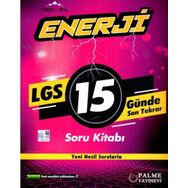 Palme Yayınları 8. Sınıf Enerji LGS 15 Günde Son Tekrar Soru Kitabı