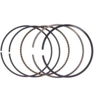Palmera Dm460219 Çim Biçme Makinesi Segman Takımı