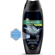 Palmolive Men Cooling 4'ü 1 Arada Magnezyum ve Mentollü 500 ml Duş Jeli