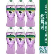 Palmolive Moments Böğürtlen ve Orkide Özlü 6x500 ml Duş Jeli