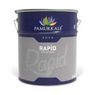 Pamukkale Rapid Ral 2009 Turuncu 15 kg Boya