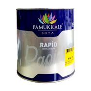 Pamukkale Rapid Siyah 0.75 kg Endüstriyel Boya