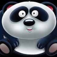 Panda - Sevimli Hayvanlar - Final Kültür Sanat Yayınları