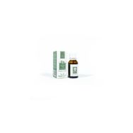 Panlife 15 ml Okaliptus Yağı