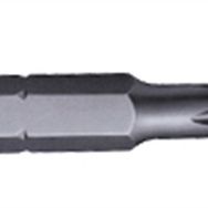 Panyı PH2 25 mm Bits Uç