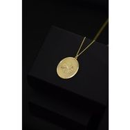 Papatya Silver 925 Ayar Gümüş Gold Kaplama Kar Tanesi Plaka Kolye