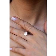 Papatya Silver 925 Ayar Rose Kaplama Sedef İstiridye Kabuğu ve Siyah Deniz Yıldızı Kolye