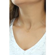 Papatya Silver UVPS100092 Harf Üç Boyutlu U Harfi Rose Altın Kaplama 925 Ayar Gümüş Kolye