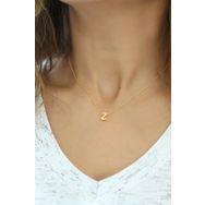 Papatya Silver UVPS100096 Harf Üç Boyutlu Z Harfi Rose Altın Kaplama 925 Ayar Gümüş Kolye