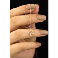 Papatya Silver UVPS101391 Rose Kaplama Dünya 925 Ayar Gümüş Kolye
