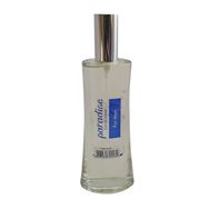 Paradise 100 ml Erkek Parfümü