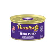 Paradise Air Berry Punch 42 gr Oda ve Araba Kokusu