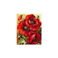 Parla 60x75 cm Gelincik Demeti Sayılarla Boyama Seti Rulo Duvar Sticker
