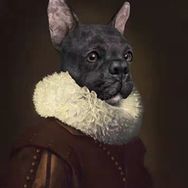 Parla Canvas Asil Köpek Sayılarla Rulo 60x75 cm Renkli Boyama Seti Duvar Sticker