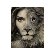 Parla Canvas Aslan Kadın Sayılarla Rulo 50x65 cm Renkli Boyama Seti Duvar Sticker