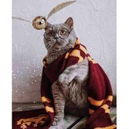 Parla Canvas Atkılı Kedi Sayılarla Rulo 100x140 cm Renkli Boyama Seti Duvar Sticker