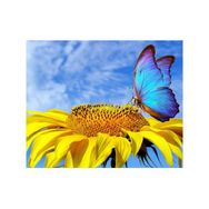 Parla Canvas Ayçiçek ve Kelebek 100x140 cm Sayılarla Rulo Boyama Seti