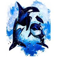 Parla Canvas Mavi Sular ve Orca Sayılarla Rulo 40x50 cm Boyama Seti Duvar Sticker