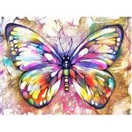 Parla Canvas Renkli Kelebek Rulo 60x75 cm Sayılarla Boyama Seti Duvar Sticker