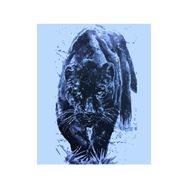 Parla Canvas Siyah Kaplan Rulo 60x75 cm Renkli Sayılarla Boyama Seti Duvar Sticker