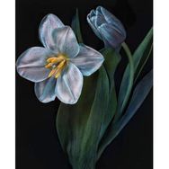 Parla Canvas Yaşam Çiçeği 2 Rulo 50x65 cm Renkli Sayılarla Boyama Seti Duvar Sticker