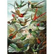 Parla Canvas Yeşil Kuş Cenneti Sayılarla Rulo 100x140 cm Renkli Boyama Seti Duvar Sticker
